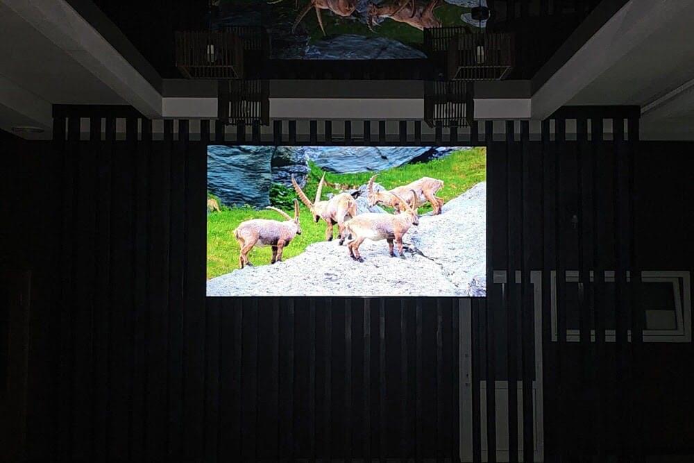 Фото ігрової кімнати