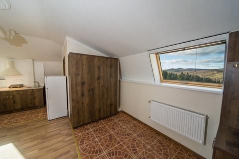 Апартаменти з панорамним виглядом