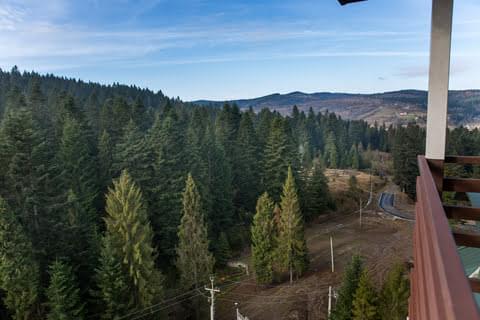 Вигляд з панорамної кімнати на ліс та гори Східниці