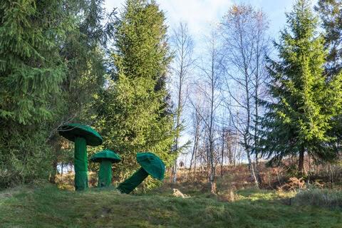 Місце в парку Східниці