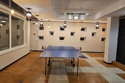 Настільний теніс